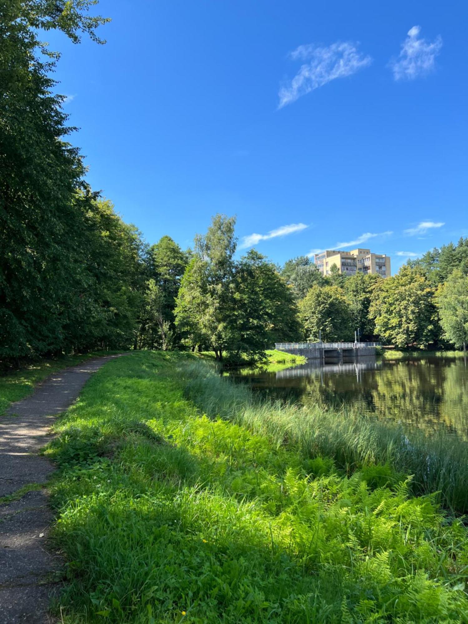 Saules Tako Apartamentai Druskininkai Buitenkant foto